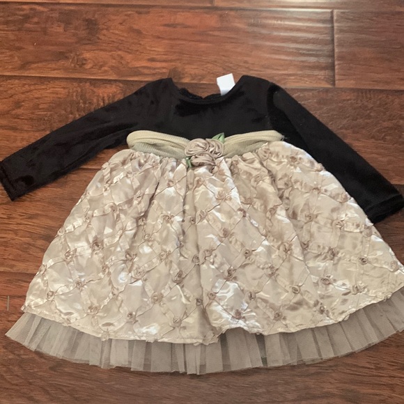 Youngland Other - 18mo Youngland Baby velvet dress with gold bottom and tule. Gently used